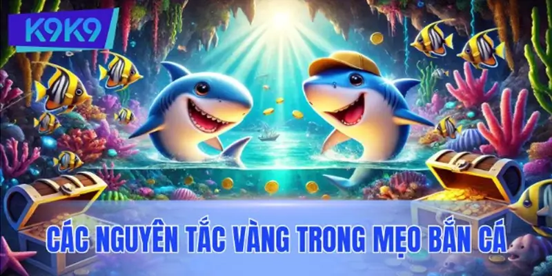 Các nguyên tắc vàng trong mẹo bắn cá tăng tỷ lệ thắng Các nguyên tắc vàng trong mẹo bắn cá tăng tỷ lệ thắng