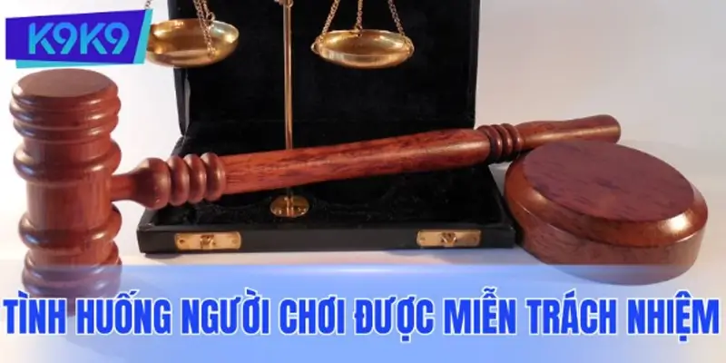 Các tình huống mà người chơi được miễn trừ trách nhiệm K9K9 Các tình huống mà người chơi được miễn trừ trách nhiệm
