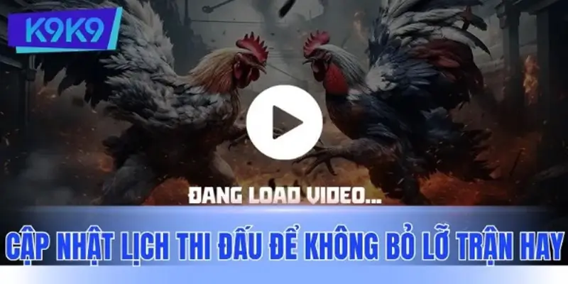Cập nhật lịch thi đấu mỗi ngày để không bỏ lỡ trận hay