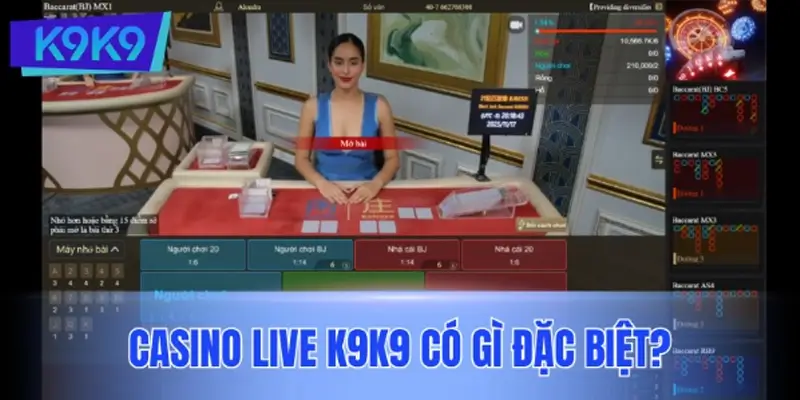 Casino Live K9K9 có gì đặc biệt?