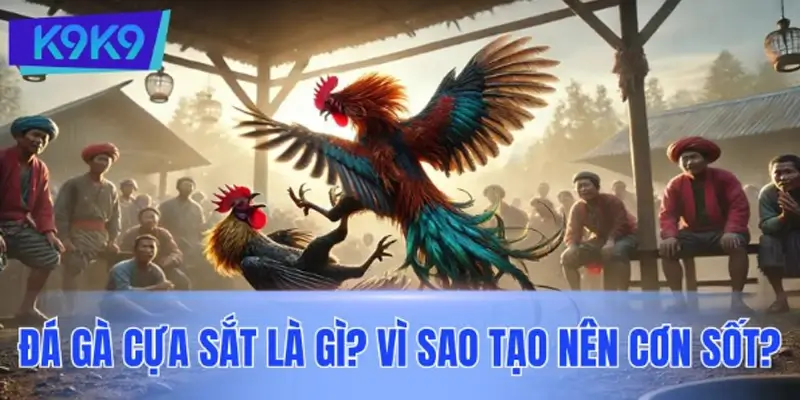 Đá gà cựa sắt là gì và vì sao lại tạo nên cơn sốt?