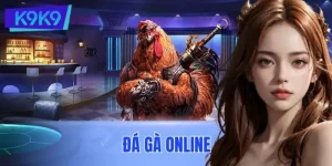Đá Gà Online Và Những Lỗi Thường Gặp Khi Chơi Tại K9K9