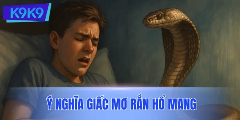 Giới thiệu ý nghĩa giấc mơ rắn hổ mang