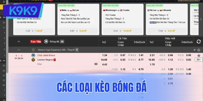 Hiểu rõ các loại kèo bóng đá cơ bản tại K9K9