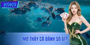 Mơ Thấy Cá Đánh Số Gì? Hé Lộ Bộ Số Tài Lộc Cho Bạn