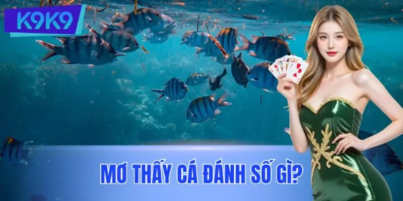 Mơ Thấy Cá Đánh Số Gì? Hé Lộ Bộ Số Tài Lộc Cho Bạn