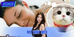 Mơ Thấy Mèo Đánh Số Gì? Giải Mã Giấc Chiêm Bao Chuẩn Xác