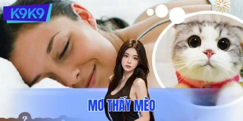 Mơ Thấy Mèo Đánh Số Gì? Giải Mã Giấc Chiêm Bao Chuẩn Xác